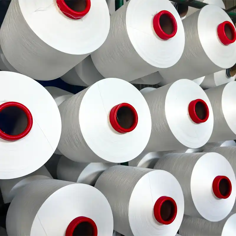 polyester dty
